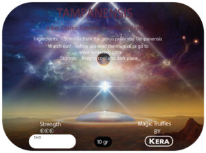 Magic Truffles By Kera – Truffel Tampanensis - 10 gram